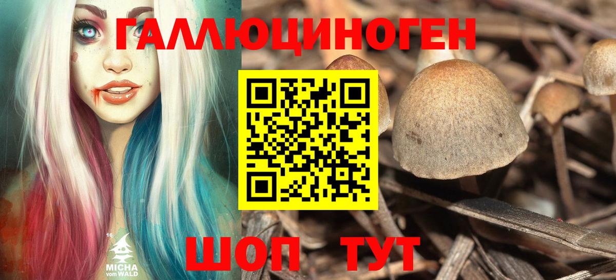 Псилоцибиновые грибы мицелий Губкинский