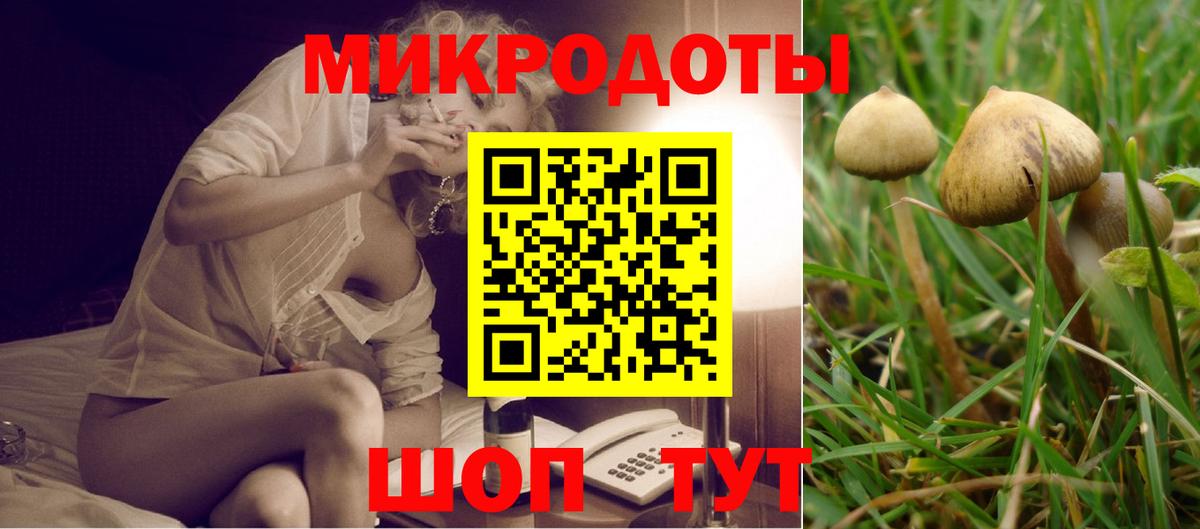 Псилоцибиновые грибы Magic Shrooms  Псилоцибиновые грибы Magic Shrooms  Вход с VPN  Губкинский 